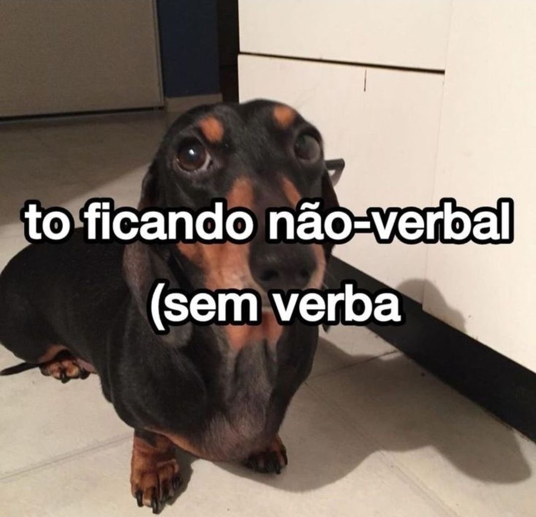 Shitpost só que de verdade tweet media