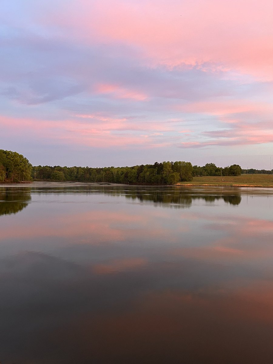 Maiv Lig Lauj tweet media