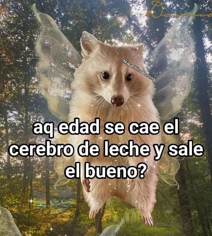 Memes Universidad Nacional (@nacional_memes) on Twitter photo 