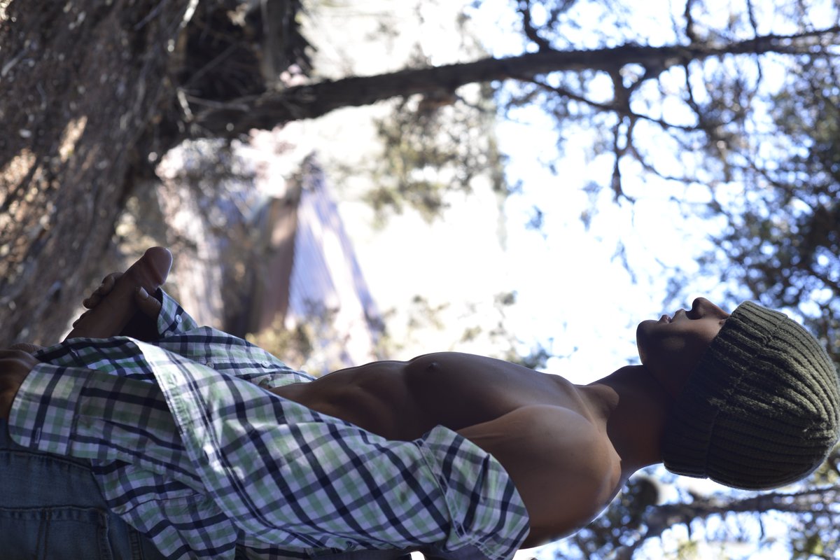 Vanelope Taylor tweet media