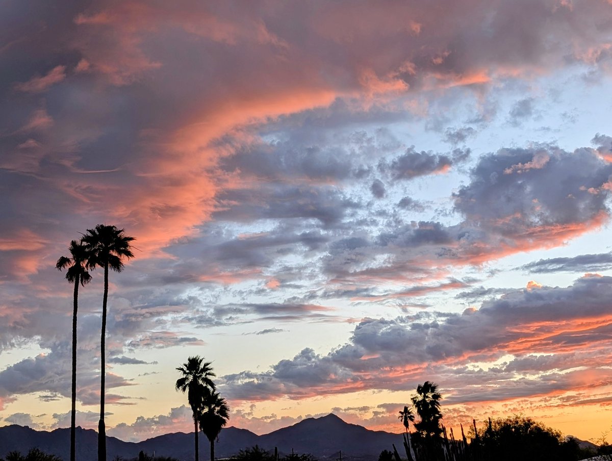 Rattlesnake Matty tweet media