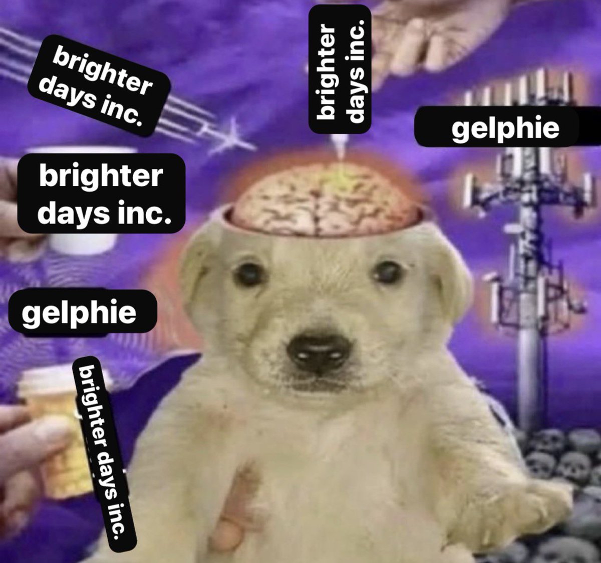 jo 🫧 brighter days inc advocate tweet media