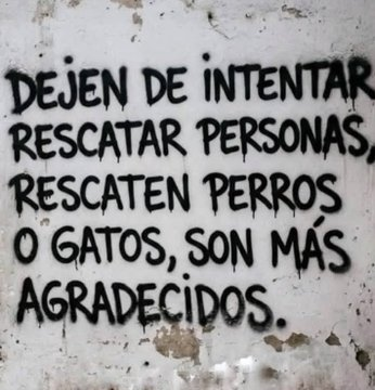 FraseSimple's tweet photo. https://t.co/NJEmXQmz6A