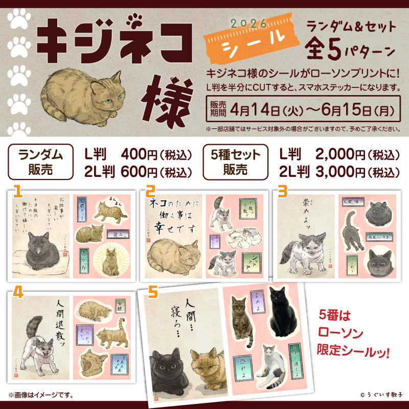 キジネコ様 tweet media