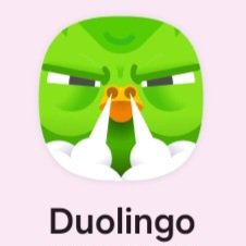 メッチャ怒ってるんですけど🤣
#Duolingo　#デュオリンゴ