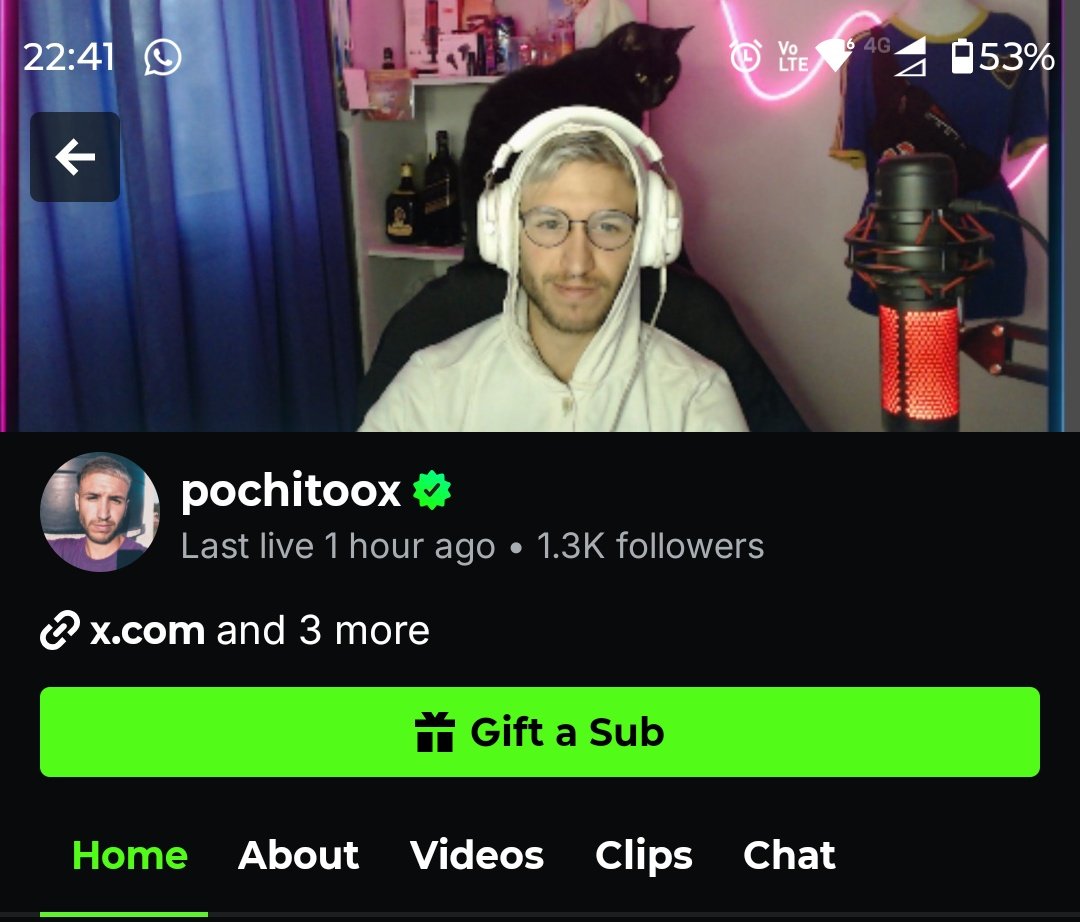 💙Pochitoox💛 tweet media