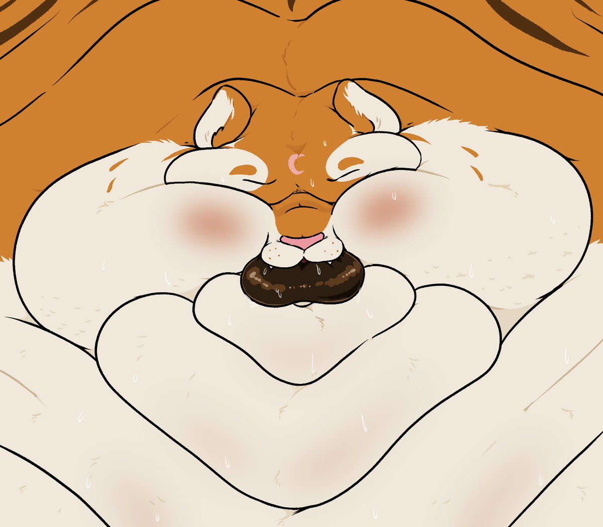 FattKatt tweet media