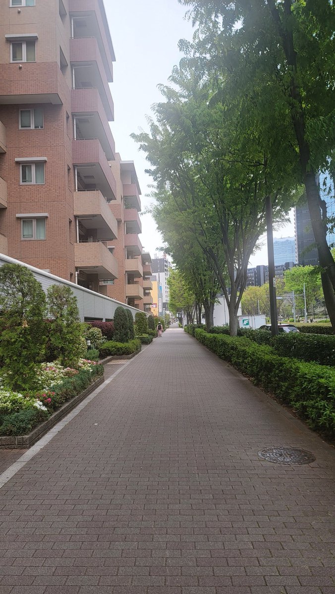 オレンジパブ tweet media