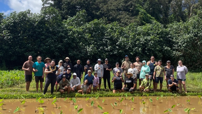University of Hawaii at Manoa tweet media