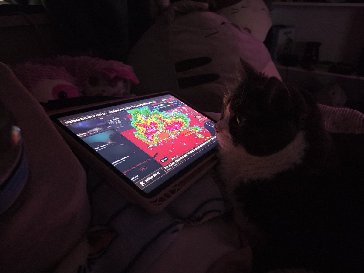 cloudhpiercer's tweet photo. @ryanhallyall my cat pebbles is protecting everyone tonight https://t.co/OaDUK0J90V