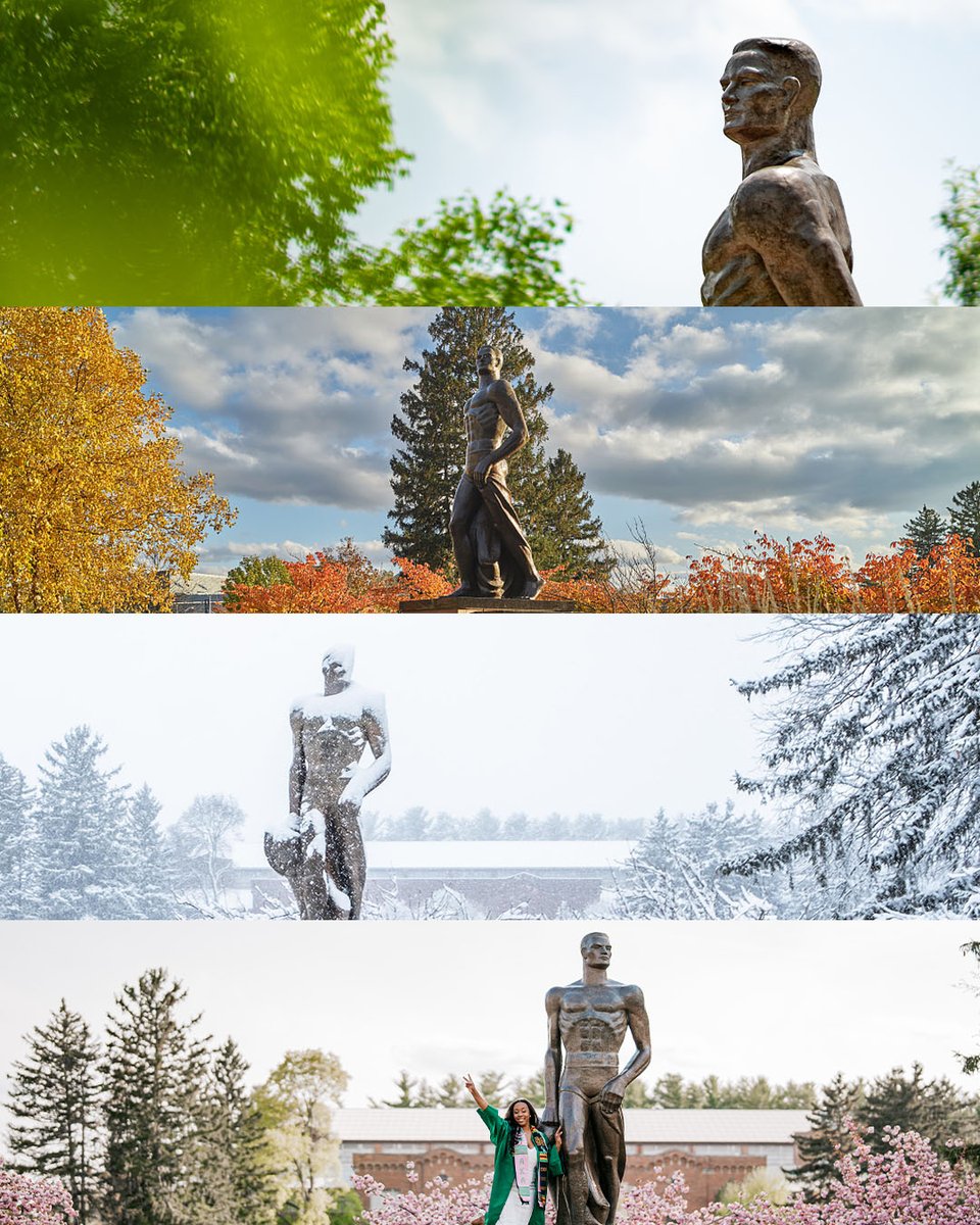 MSU tweet media