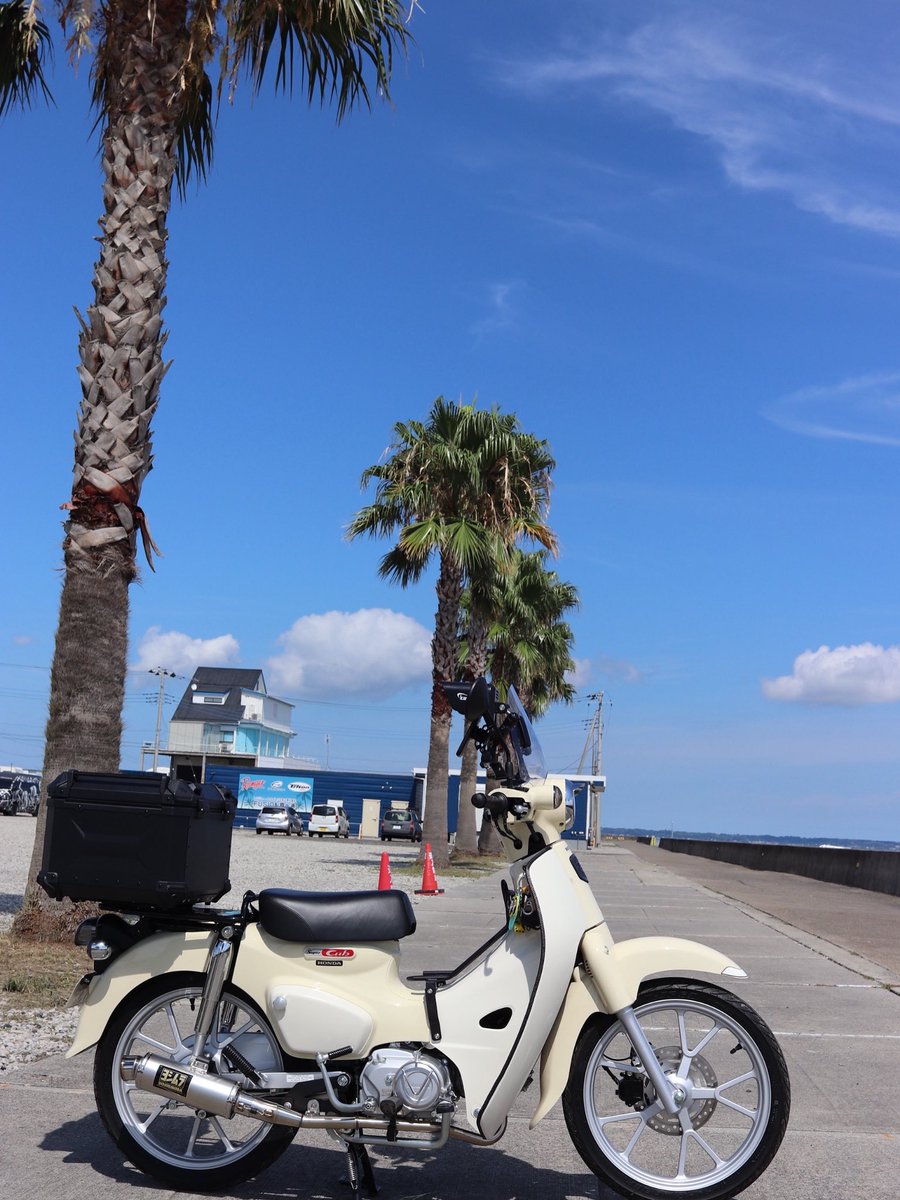 えぬ@🇬🇧 tweet media