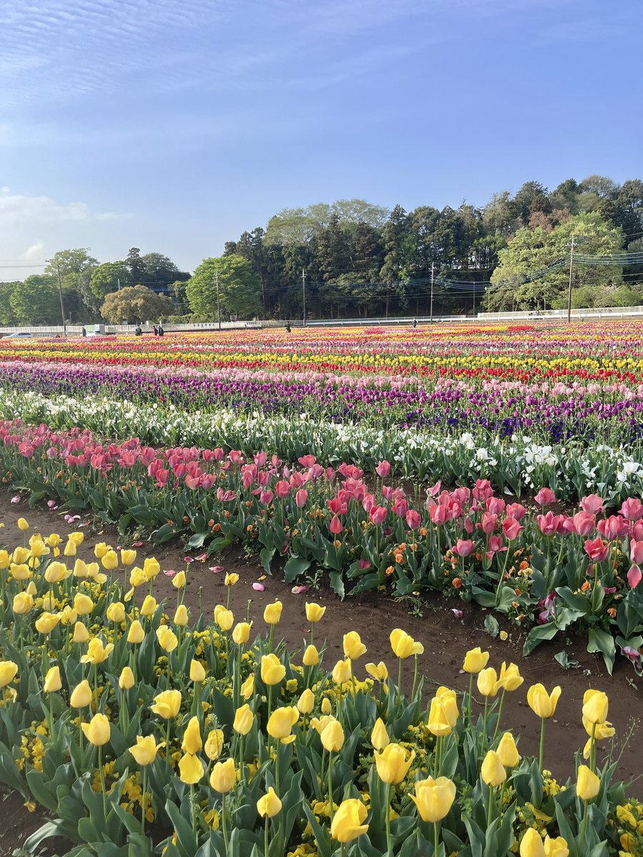 名城雪子 tweet media