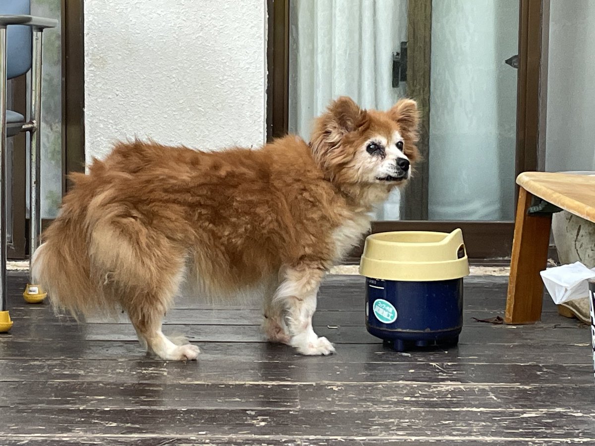 磨左美 tweet media