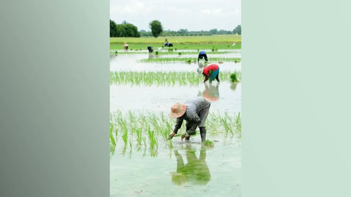 This image says it all 🌿
It starts with you. Make a difference.

View the post 👉 app.ecox.network/community/post…
Earn GREEN on @ECOX_ECOToEarn while you act:
app.ecox.network/register?refCo…

#ECOX #GREEN #ECO_TO_EARN