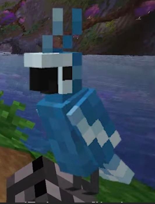 CagilMartin's tweet image. Fun fact, the original person who helped make the parrots RazzleberryFox originally made 16 parrot textures but only 5 got implemented, she showed off 5 other textures during an interview with ElrichMC that were part of the original 16, here's the parrots