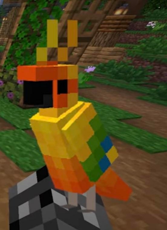 Potato Man of MC tweet media