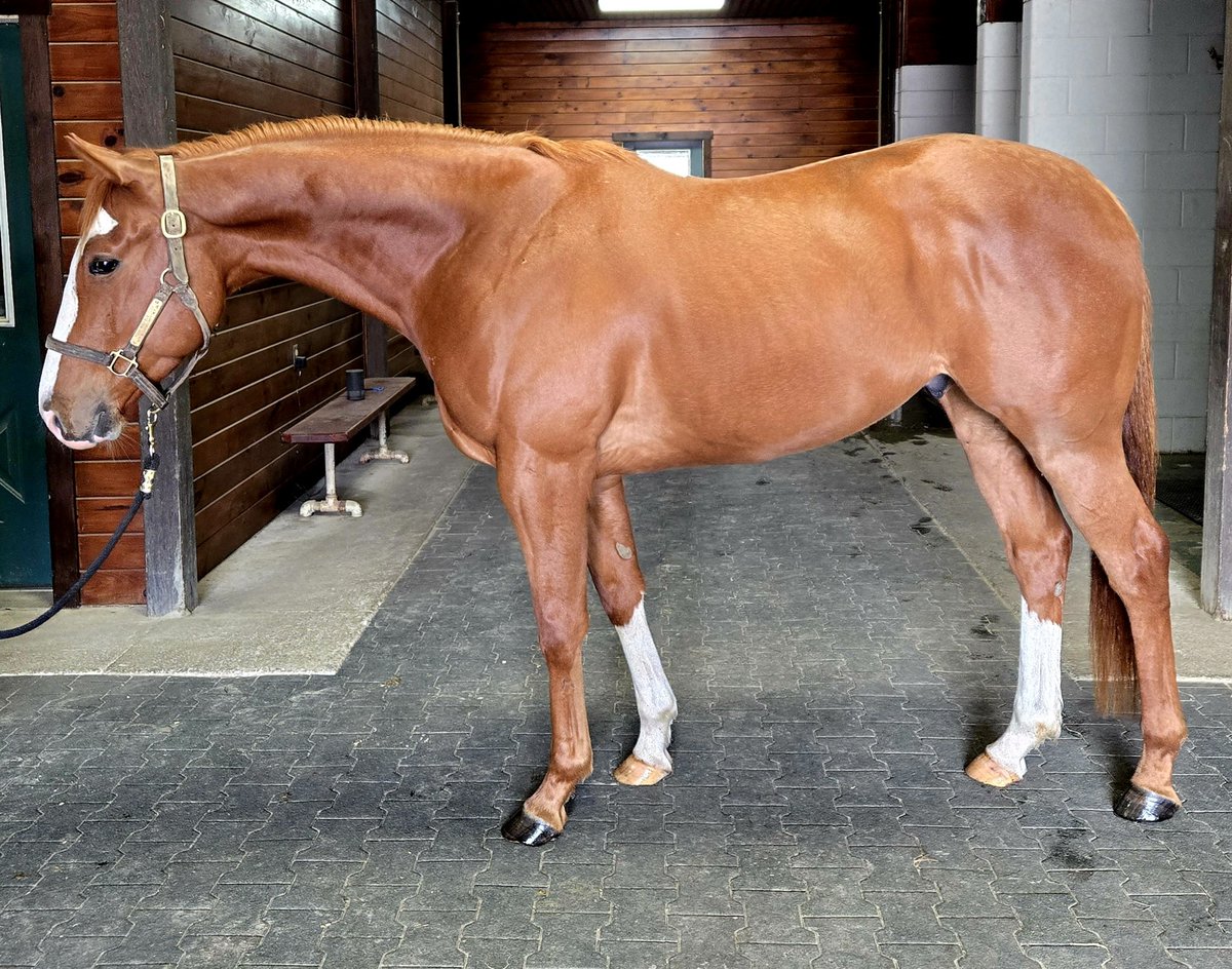 Lisa Molloy tweet media