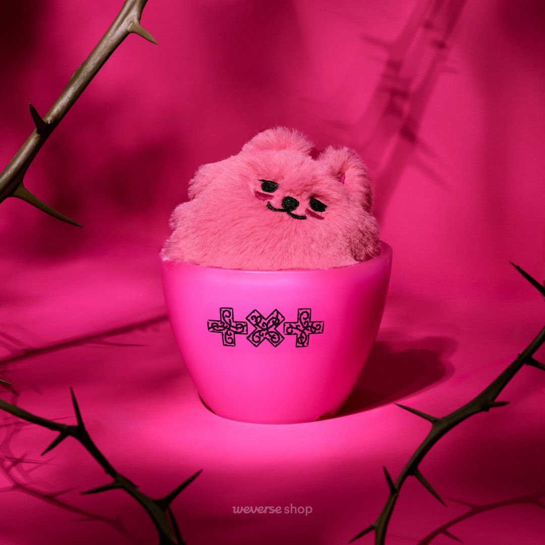 Weverse Shop tweet media