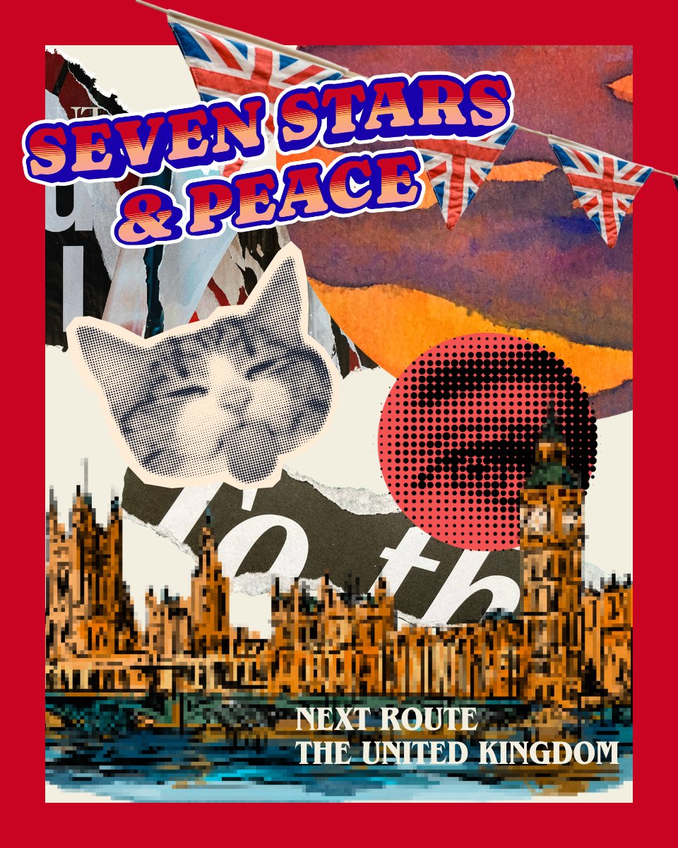 ナッツ💪🐱🌺 tweet media