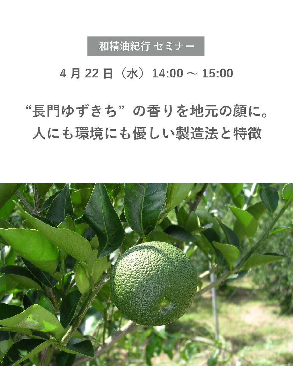 日本アロマ環境協会(AEAJ) tweet media