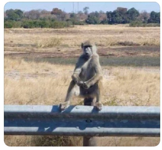 MFP eagles '22 @ 💯's KIM JONG UN... tweet media