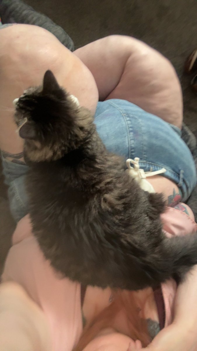 Honey (21+) tweet media