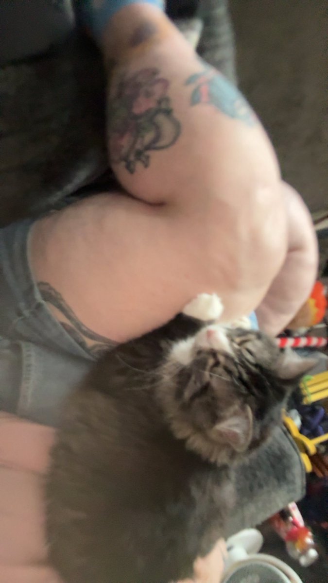 Honey (21+) tweet media