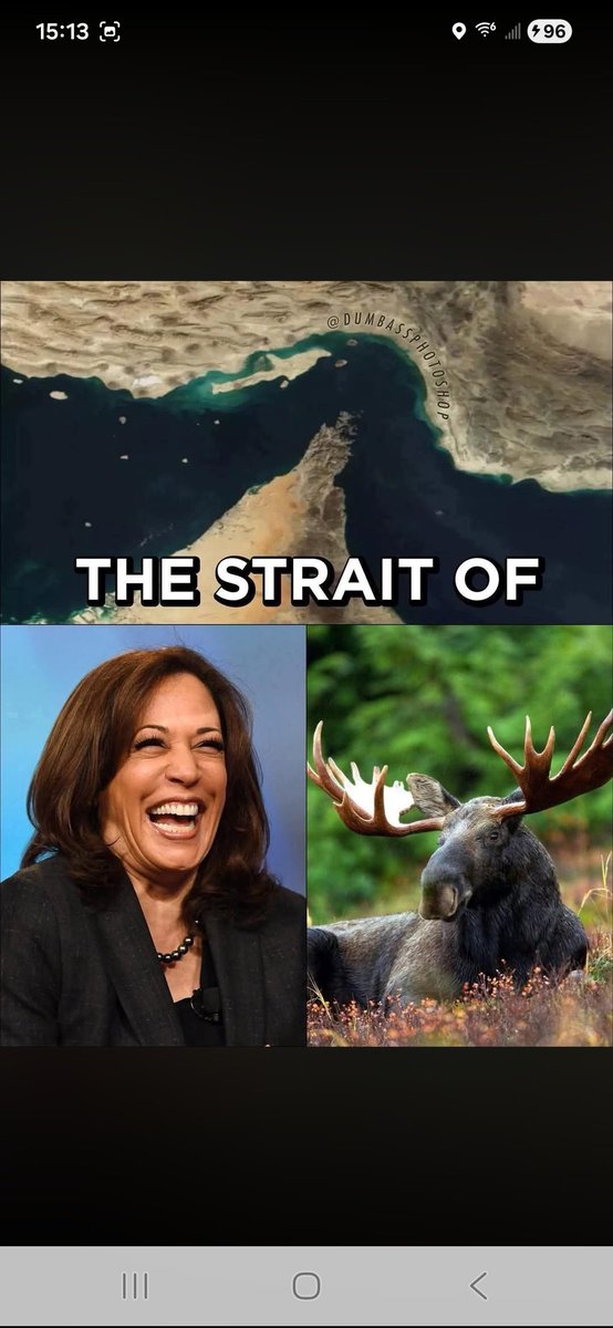 Subcat1655 tweet media