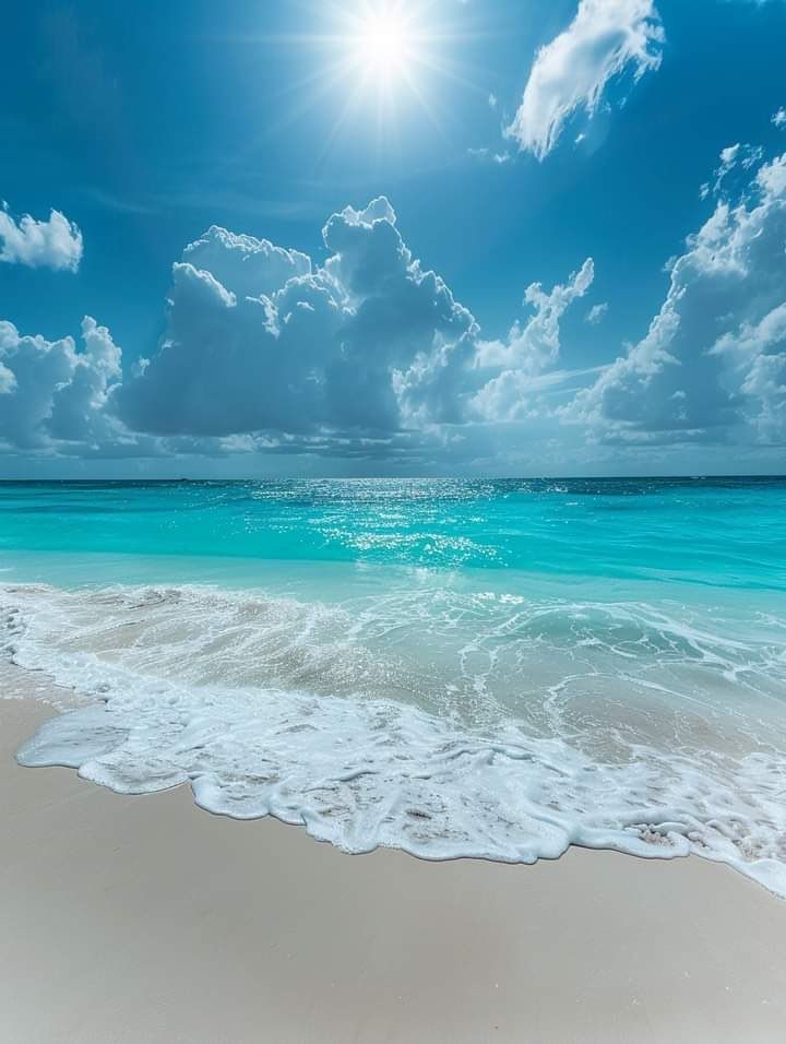 Aesthetics tweet media