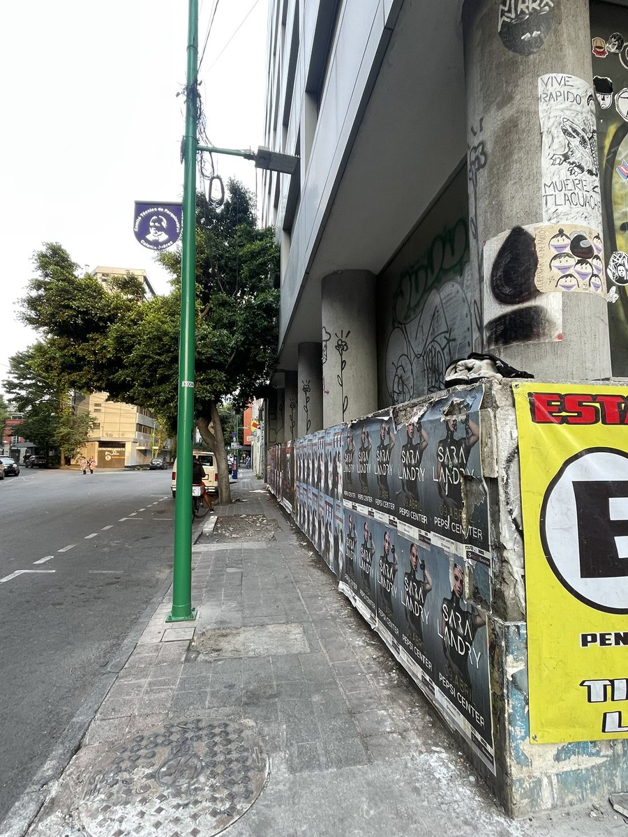 monfalcon's tweet photo. @AlessandraRdlv @alcaldia_ss  cuando tocará que atiendan o que vayas como alcaldesa a  las calles cercanas a reforma y gobernación ??? https://t.co/nLkk0ms40I