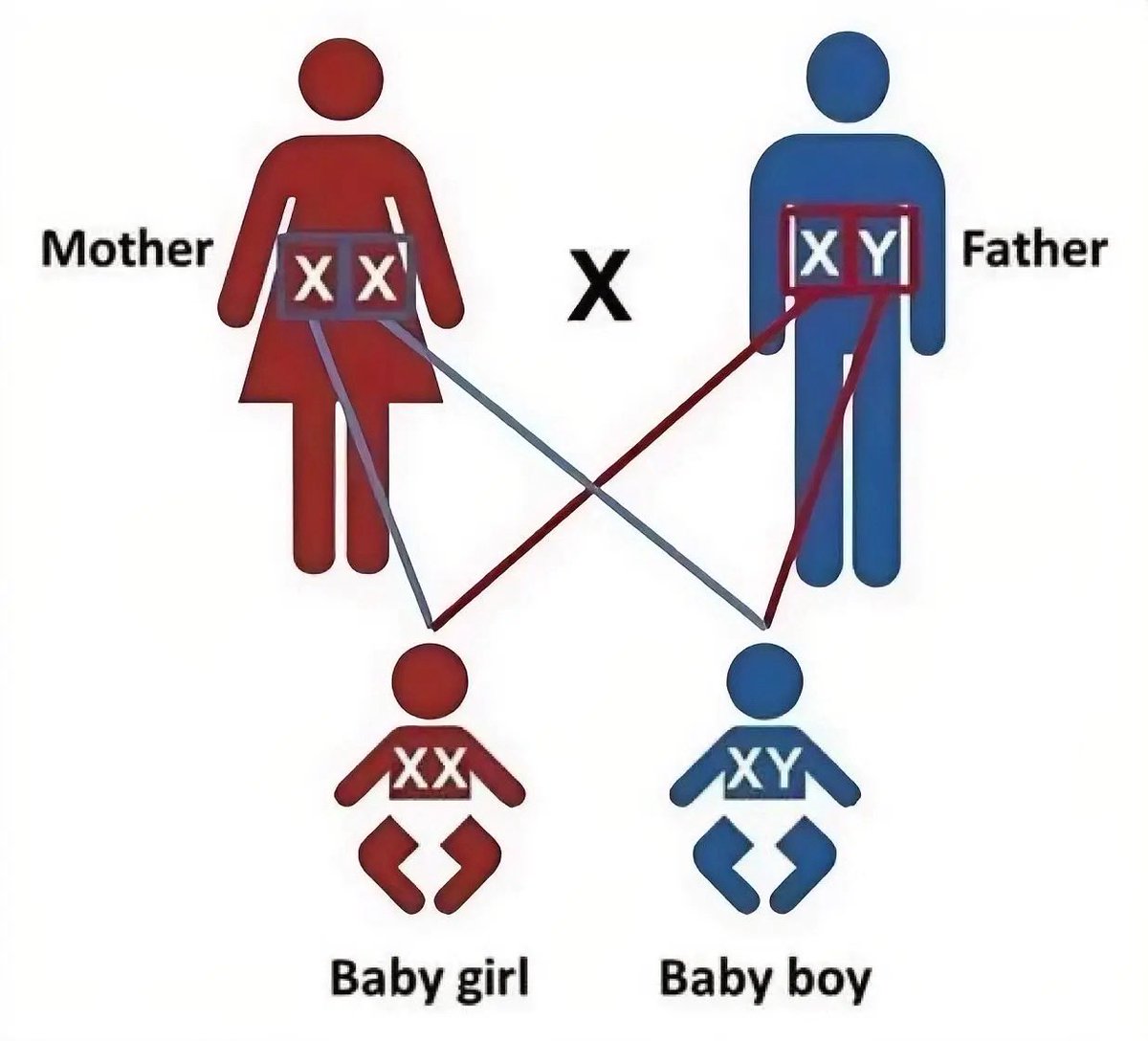 Rocío Infante tweet media