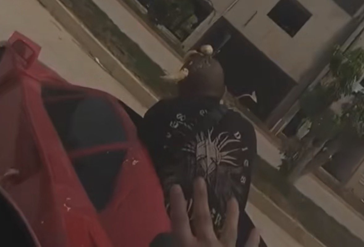 johan 😶🌫️ tweet media