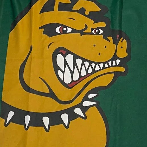 CFLLATENEWS's tweet image. If Scooby Doo and a muskrat fucked, you'd have the Memphis Mad Dogs logo.

Ok.

#CFL #Memphis