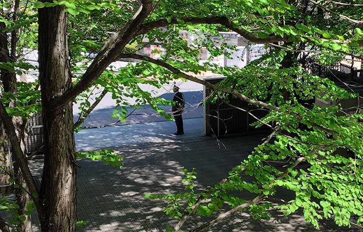 大妻中学高等学校 tweet media