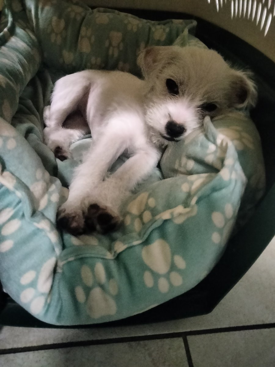 As I paint, my little Angel-girl sleeps. 

I feel blessed. ♥️