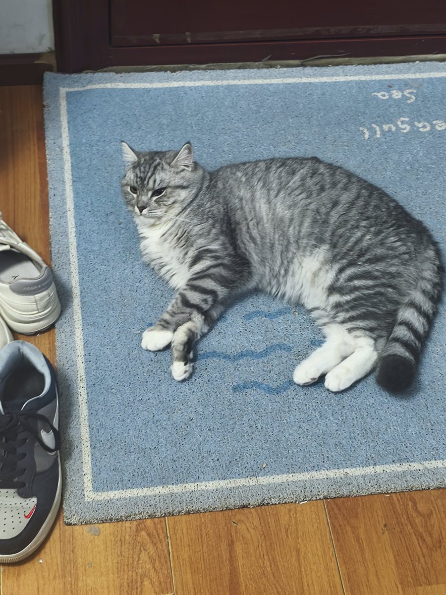 因为偷吃公公被婆婆赶出家门的那个雨夜 tweet media