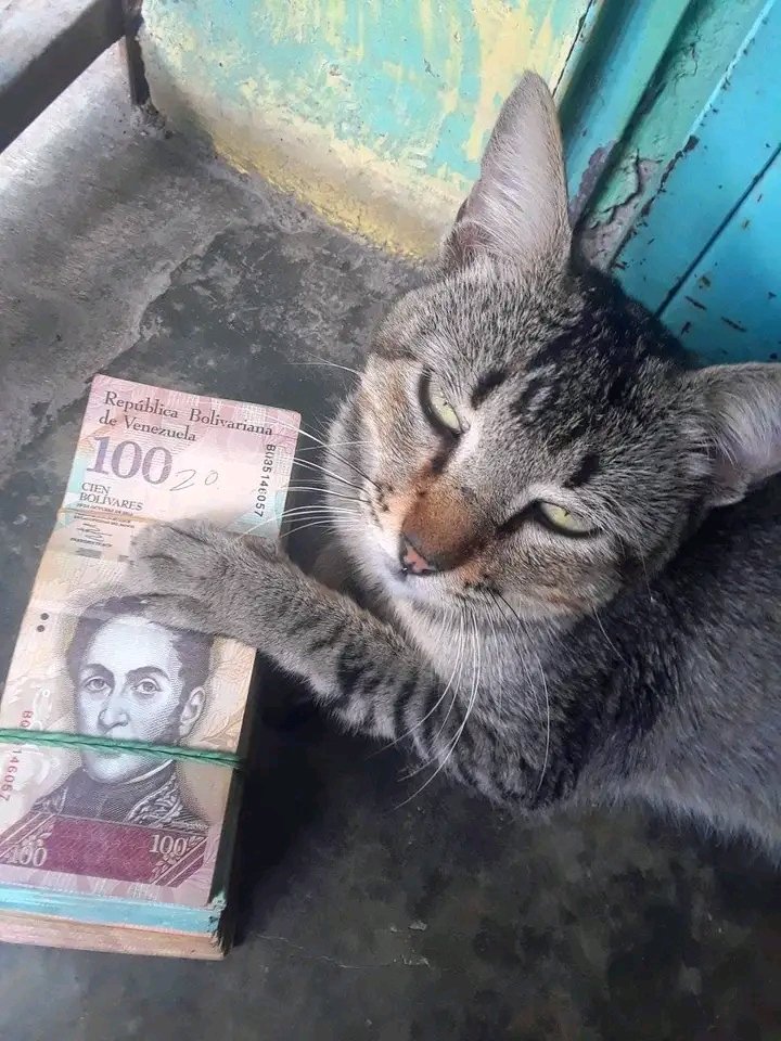 𓆩 luis 𓆪 tweet media