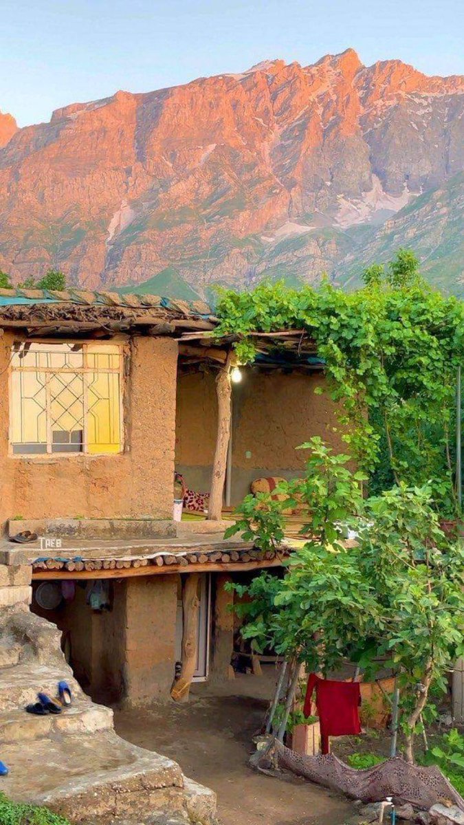 بوليفار tweet media