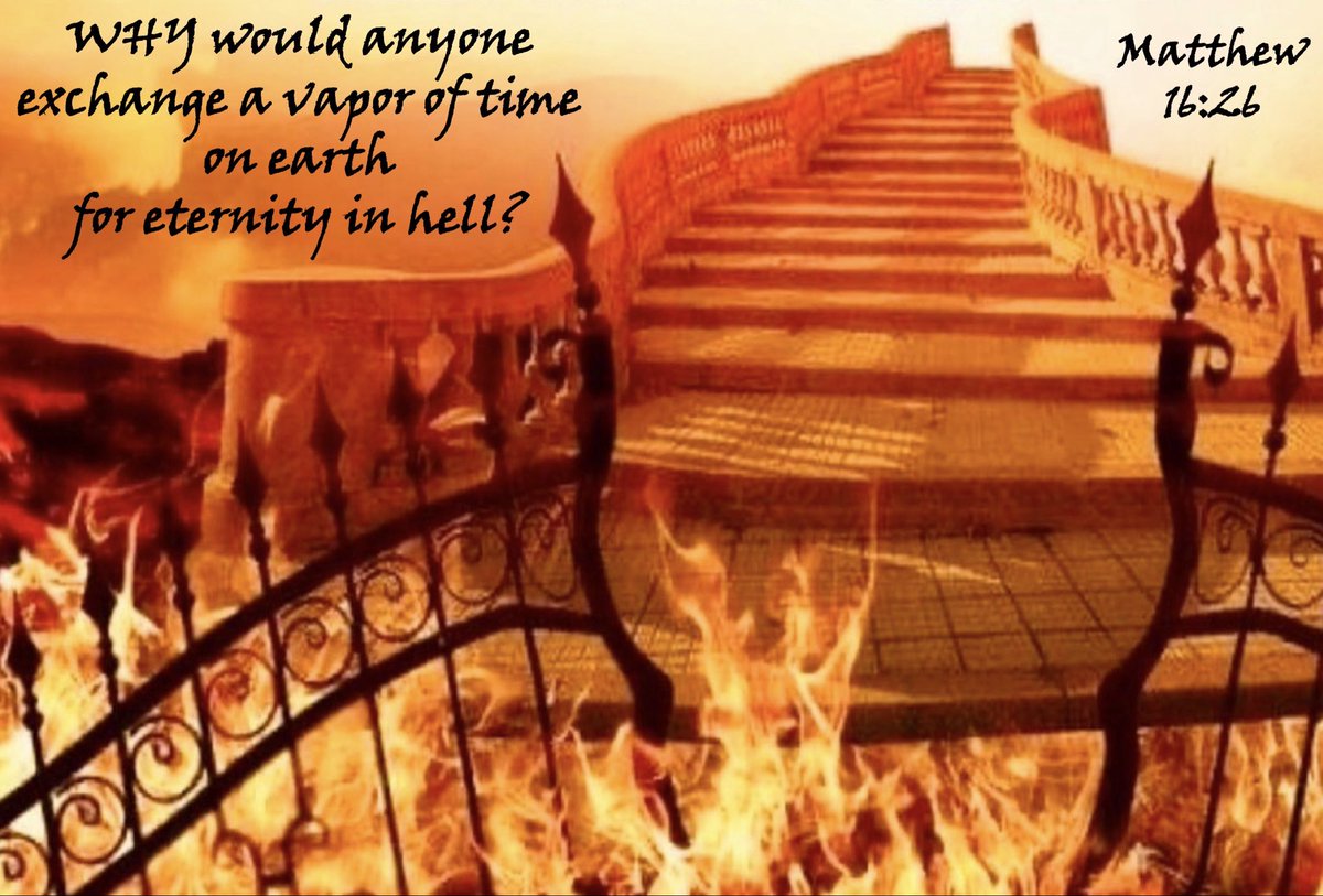 John J Ogle tweet media