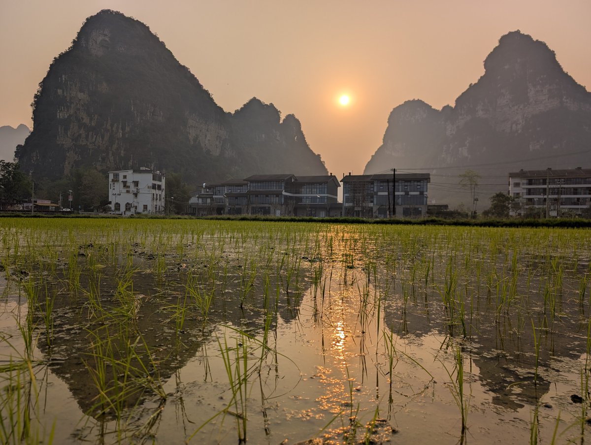 SeanAMaynard's tweet photo. Morning in Ming Shi, Guangxi, China. Taken with Google Pixel 8 Pro. https://t.co/1tXQfrcVTu