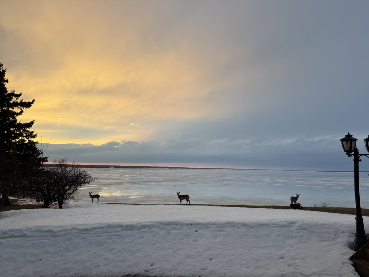 SmaielDanny's tweet image. Visitors #llb