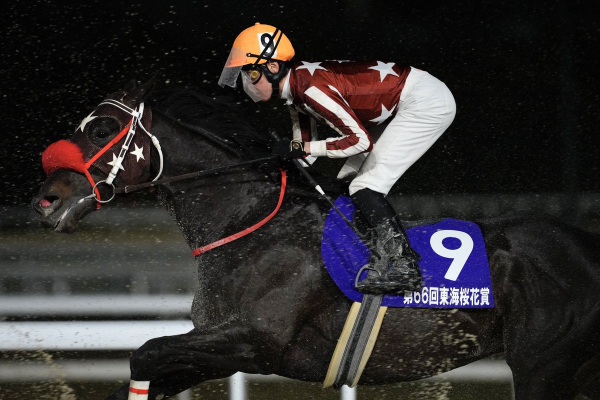 ely_PBS's tweet photo. 名古屋競馬場行ってきたよ🏇 https://t.co/TznTKJCjZU