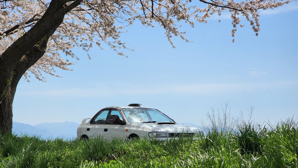 らんぼう tweet media