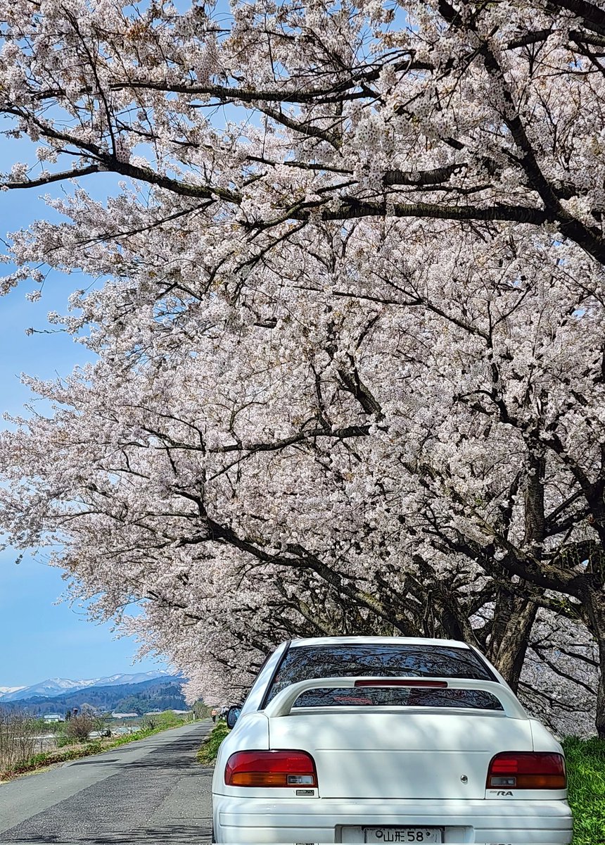 らんぼう tweet media