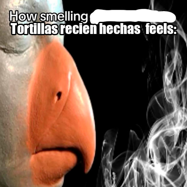elalanmonkey's tweet photo. Que iba a comprar unas tortillas a la esquina, y que apenas las empezaban a hacer. https://t.co/JnQPStntU8