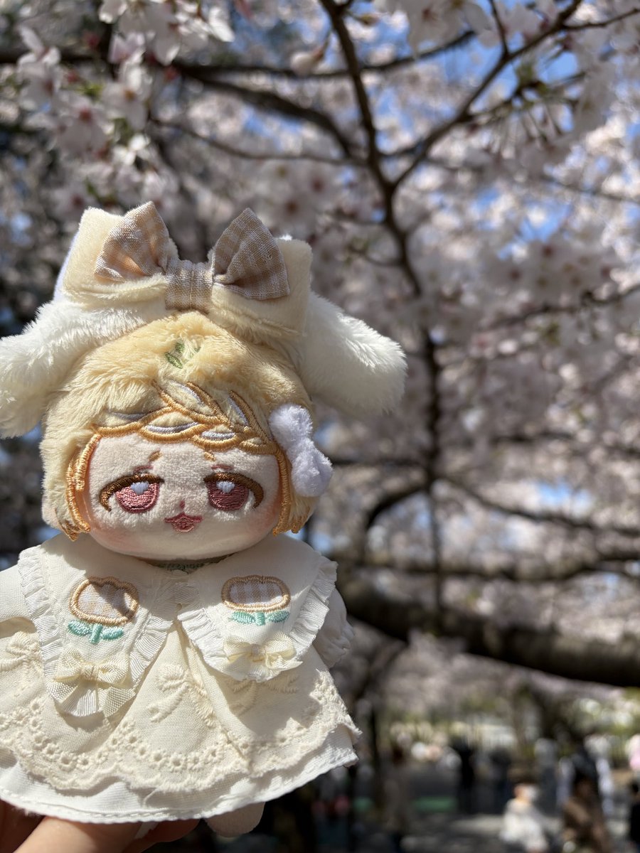 お花見の写真載せ忘れてた！