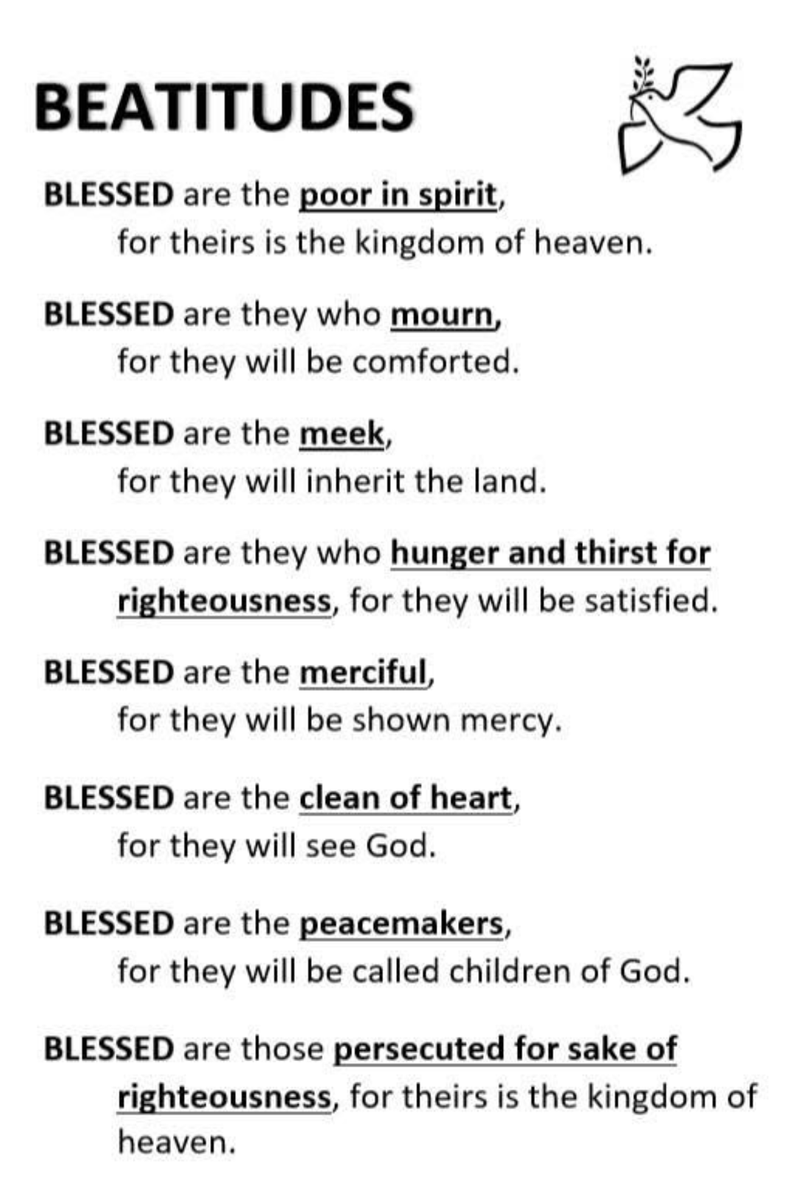 Bruce Petillo tweet media