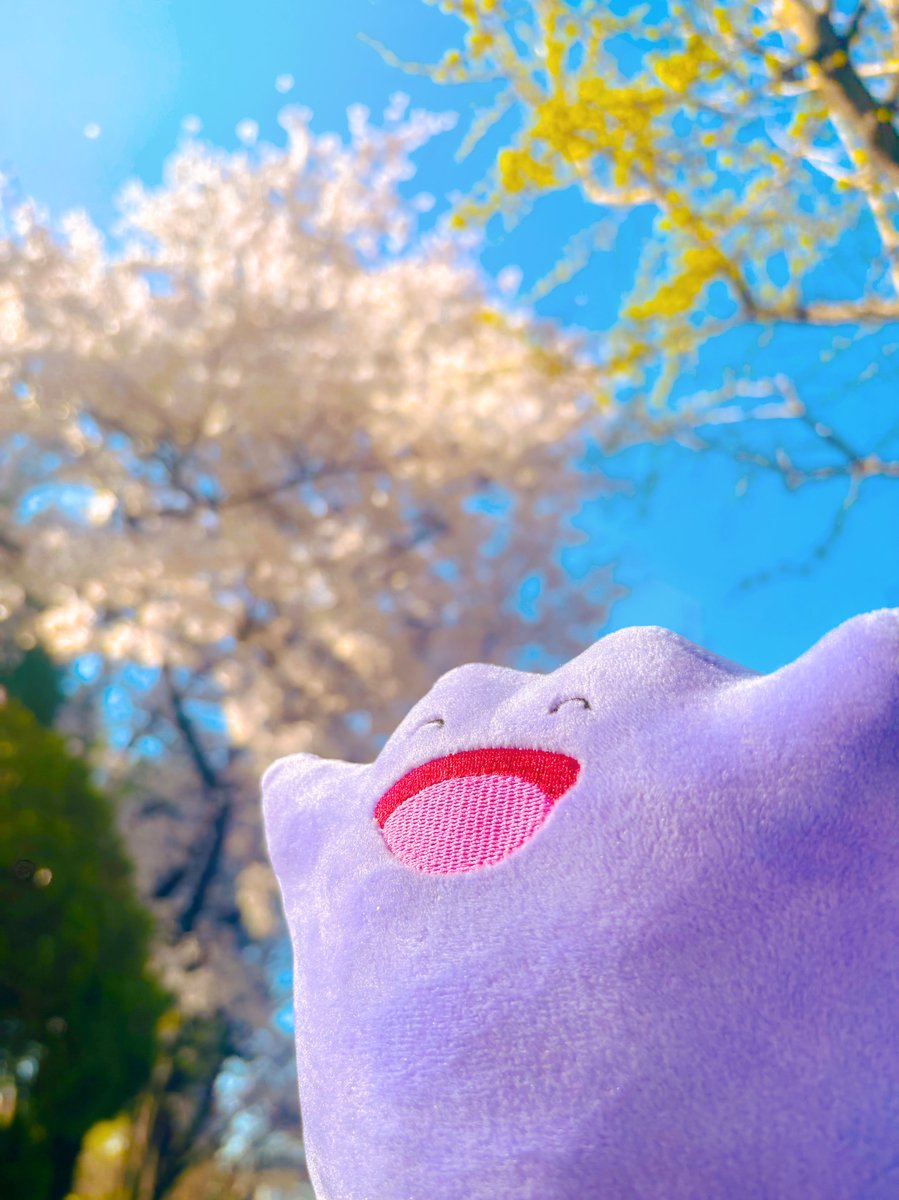 METAMONG PROJECT tweet media