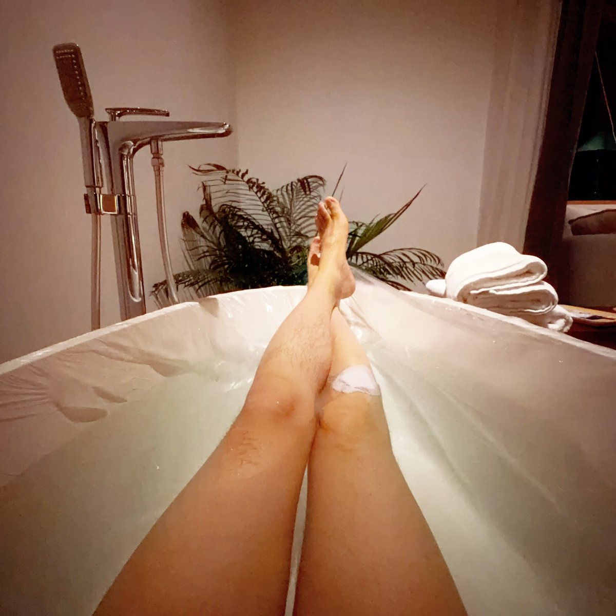 太原农牛 tweet media